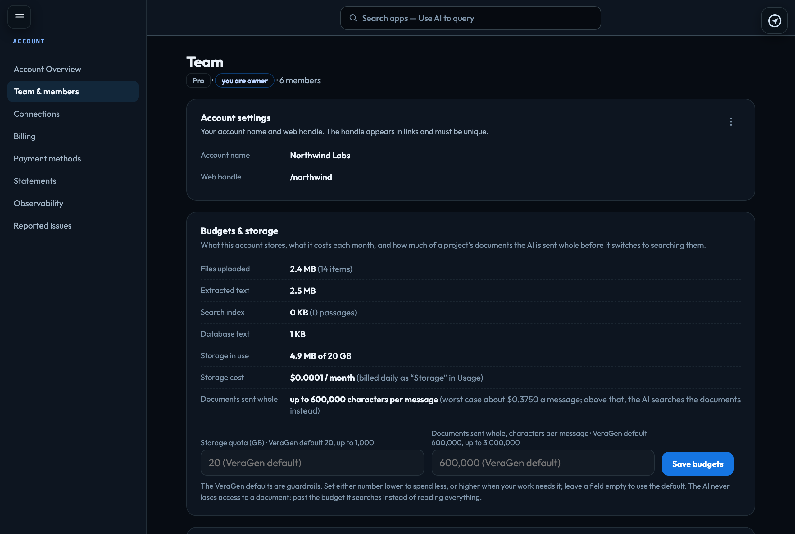 Team & members: everyone on the account with their role and what they have used this month
